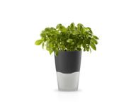 Eva Solo Yrttiruukku, 13 cm